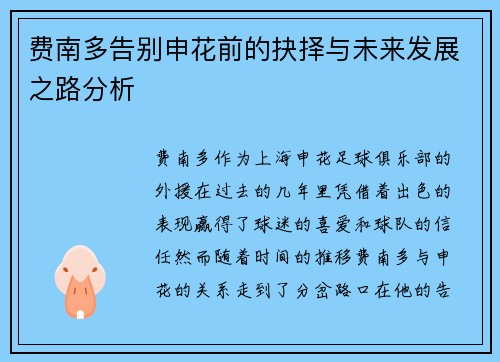 费南多告别申花前的抉择与未来发展之路分析